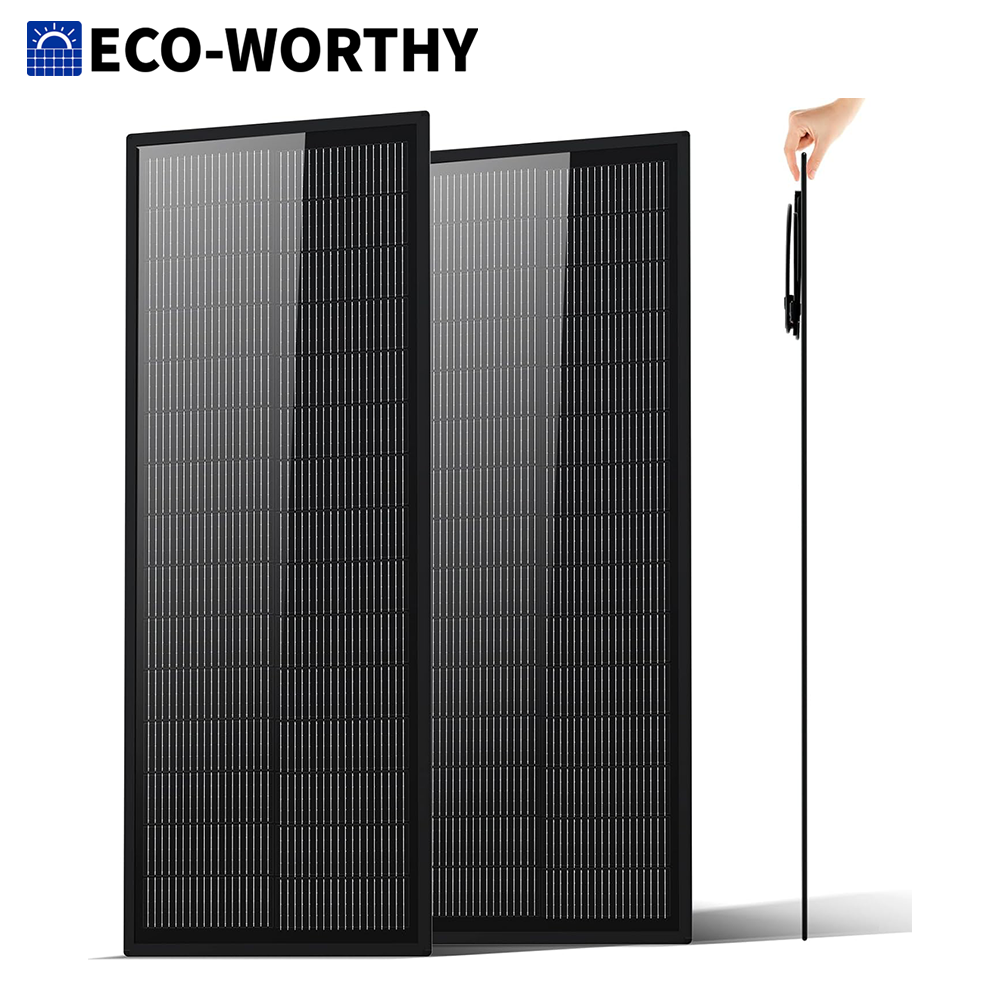ECO-WORTHY Ultra Slim 2PCS 100 - Solar Panel 200W 评论和价格